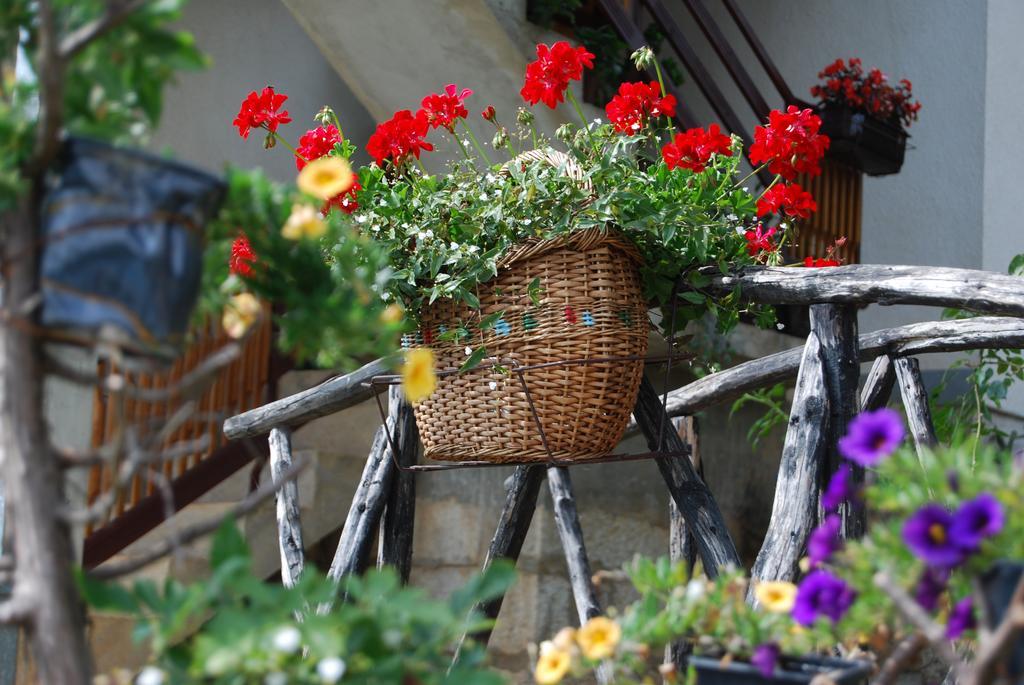 Seoski Turizam Melovic Rozanstvo Exterior foto
